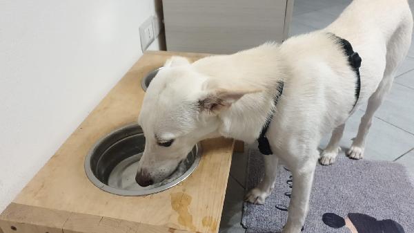 🌸 LILY – 6 MESI DI TENEREZZA! 🌸 Foto 3